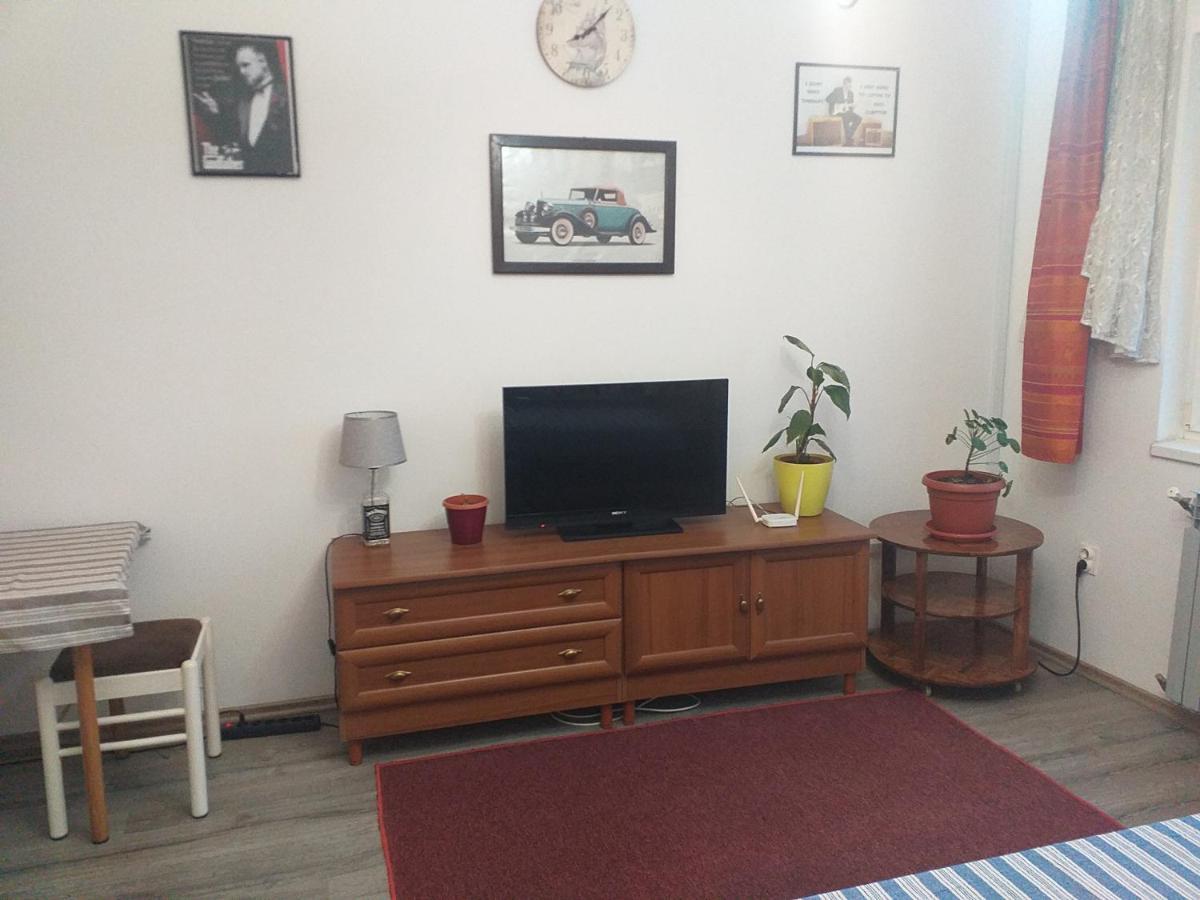 Apartment Sanin
